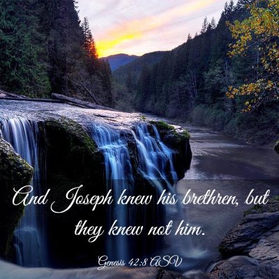 Picture 03 - Genesis 42:8 ASV - And Joseph knew his brethren, but they knew not - Bible Verse Picture