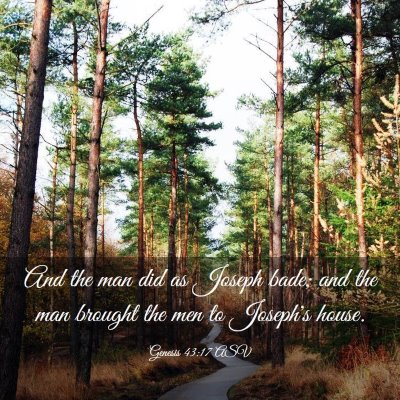 Picture 03 - Genesis 43:17 ASV - And the man did as Joseph bade; and the man - Bible Verse Picture