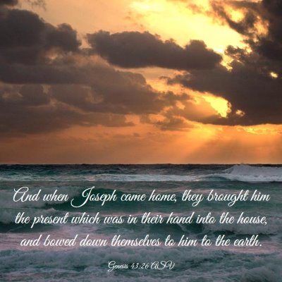 Picture 03 - Genesis 43:26 ASV - And when Joseph came home, they brought him the - Bible Verse Picture