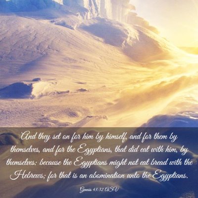 Picture 03 - Genesis 43:32 ASV - And they set on for him by himself, and for them - Bible Verse Picture