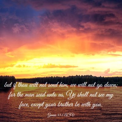 Picture 03 - Genesis 43:5 ASV - but if thou wilt not send him, we will not go - Bible Verse Picture