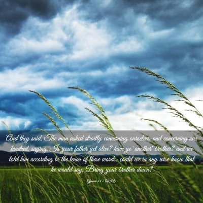 Picture 03 - Genesis 43:7 ASV - And they said, The man asked straitly concerning - Bible Verse Picture