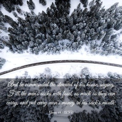 Picture 03 - Genesis 44:1 ASV - And he commanded the steward of his house, - Bible Verse Picture