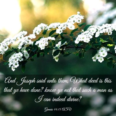 Picture 03 - Genesis 44:15 ASV - And Joseph said unto them, What deed is this that - Bible Verse Picture