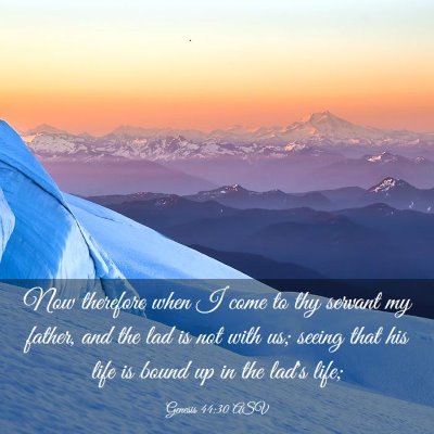 Picture 03 - Genesis 44:30 ASV - Now therefore when I come to thy servant my - Bible Verse Picture