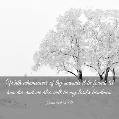 Picture 03 - Genesis 44:9 ASV - With whomsoever of thy servants it be found, let - Bible Verse Picture