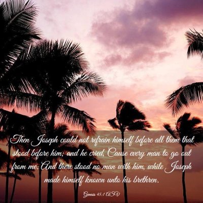 Picture 03 - Genesis 45:1 ASV - Then Joseph could not refrain himself before all - Bible Verse Picture