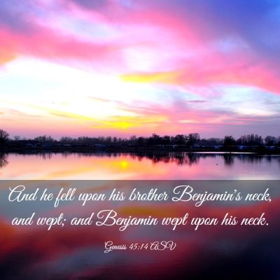Picture 03 - Genesis 45:14 ASV - And he fell upon his brother Benjamin's neck, and - Bible Verse Picture