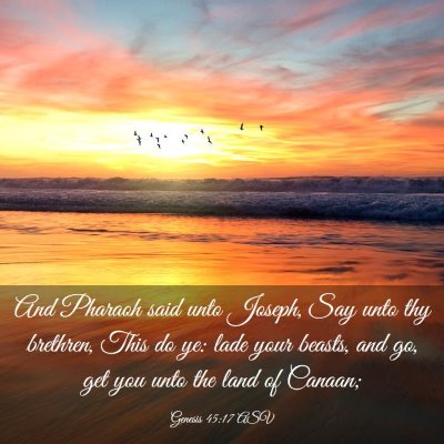 Picture 03 - Genesis 45:17 ASV - And Pharaoh said unto Joseph, Say unto thy - Bible Verse Picture