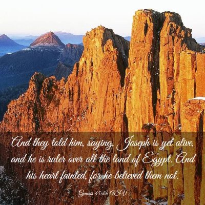 Picture 03 - Genesis 45:26 ASV - And they told him, saying, Joseph is yet alive, - Bible Verse Picture