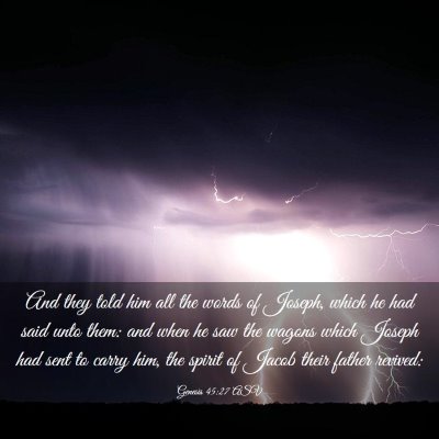 Picture 03 - Genesis 45:27 ASV - And they told him all the words of Joseph, which - Bible Verse Picture