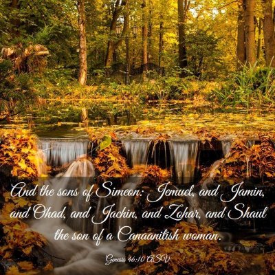 Picture 03 - Genesis 46:10 ASV - And the sons of Simeon: Jemuel, and Jamin, and - Bible Verse Picture