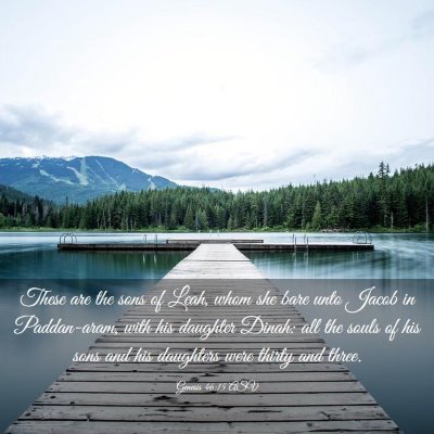 Picture 03 - Genesis 46:15 ASV - These are the sons of Leah, whom she bare unto - Bible Verse Picture