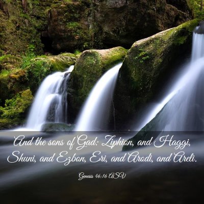 Picture 03 - Genesis 46:16 ASV - And the sons of Gad: Ziphion, and Haggi, Shuni, - Bible Verse Picture