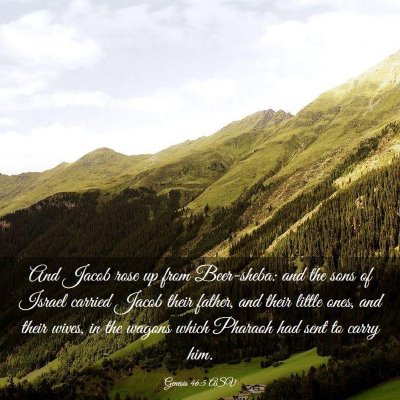 Picture 03 - Genesis 46:5 ASV - And Jacob rose up from Beer-sheba: and the sons - Bible Verse Picture