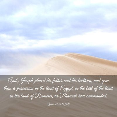 Picture 03 - Genesis 47:11 ASV - And Joseph placed his father and his brethren, - Bible Verse Picture