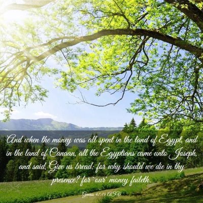 Picture 03 - Genesis 47:15 ASV - And when the money was all spent in the land of - Bible Verse Picture
