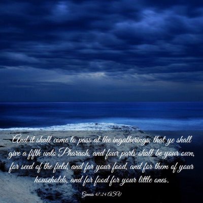 Picture 03 - Genesis 47:24 ASV - And it shall come to pass at the ingatherings, - Bible Verse Picture