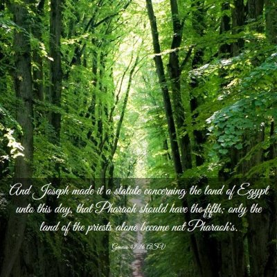 Picture 03 - Genesis 47:26 ASV - And Joseph made it a statute concerning the land - Bible Verse Picture