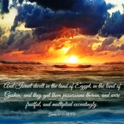 Picture 03 - Genesis 47:27 ASV - And Israel dwelt in the land of Egypt, in the - Bible Verse Picture