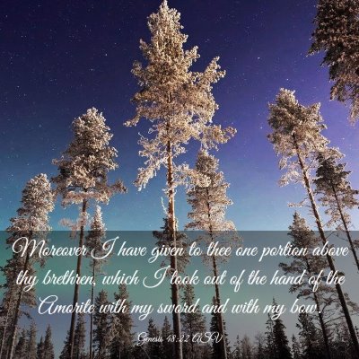 Picture 03 - Genesis 48:22 ASV - Moreover I have given to thee one portion above - Bible Verse Picture
