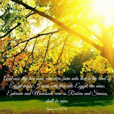 Picture 03 - Genesis 48:5 ASV - And now thy two sons, who were born unto thee in - Bible Verse Picture