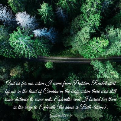 Picture 03 - Genesis 48:7 ASV - And as for me, when I came from Paddan, Rachel - Bible Verse Picture
