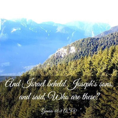 Picture 03 - Genesis 48:8 ASV - And Israel beheld Joseph's sons, and said, Who - Bible Verse Picture