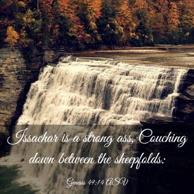 Picture 03 - Genesis 49:14 ASV - Issachar is a strong ass, Couching down between - Bible Verse Picture