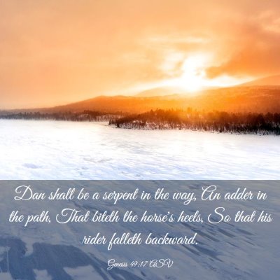 Picture 03 - Genesis 49:17 ASV - Dan shall be a serpent in the way, An adder in - Bible Verse Picture