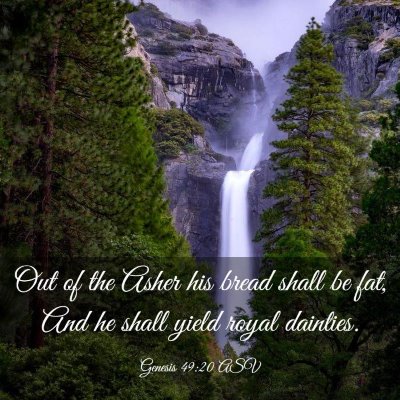 Picture 03 - Genesis 49:20 ASV - Out of the Asher his bread shall be fat, And he - Bible Verse Picture