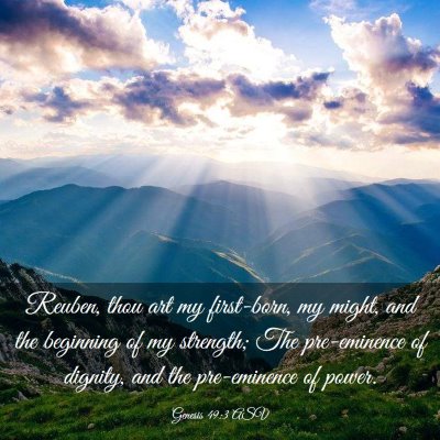 Picture 03 - Genesis 49:3 ASV - Reuben, thou art my first-born, my might, and the - Bible Verse Picture