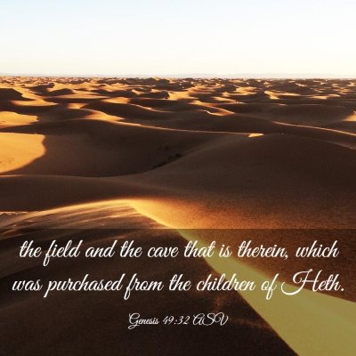 Picture 03 - Genesis 49:32 ASV - the field and the cave that is therein, which was - Bible Verse Picture