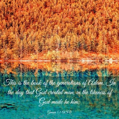 Picture 03 - Genesis 5:1 ASV - This is the book of the generations of Adam. In - Bible Verse Picture
