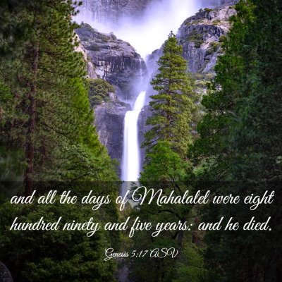 Picture 03 - Genesis 5:17 ASV - and all the days of Mahalalel were eight hundred - Bible Verse Picture