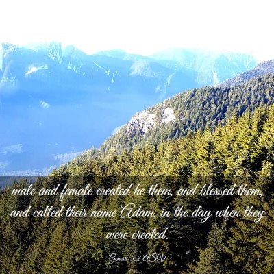 Picture 03 - Genesis 5:2 ASV - male and female created he them, and blessed - Bible Verse Picture