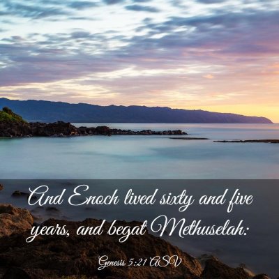 Picture 03 - Genesis 5:21 ASV - And Enoch lived sixty and five years, and begat - Bible Verse Picture