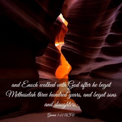 Picture 03 - Genesis 5:22 ASV - and Enoch walked with God after he begat - Bible Verse Picture