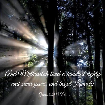 Picture 03 - Genesis 5:25 ASV - And Methuselah lived a hundred eighty and seven - Bible Verse Picture