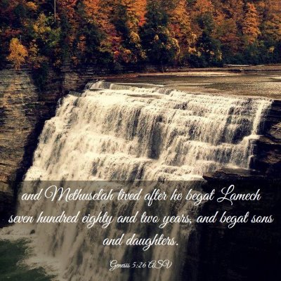 Picture 03 - Genesis 5:26 ASV - and Methuselah lived after he begat Lamech seven - Bible Verse Picture