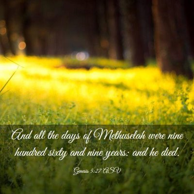 Picture 03 - Genesis 5:27 ASV - And all the days of Methuselah were nine hundred - Bible Verse Picture
