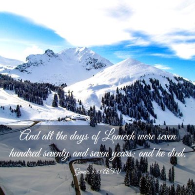 Picture 03 - Genesis 5:31 ASV - And all the days of Lamech were seven hundred - Bible Verse Picture