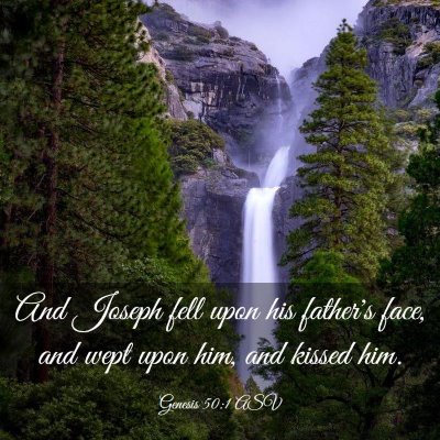 Picture 03 - Genesis 50:1 ASV - And Joseph fell upon his father's face, and wept - Bible Verse Picture