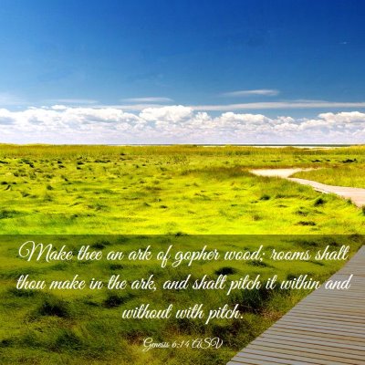 Picture 03 - Genesis 6:14 ASV - Make thee an ark of gopher wood; rooms shalt thou - Bible Verse Picture