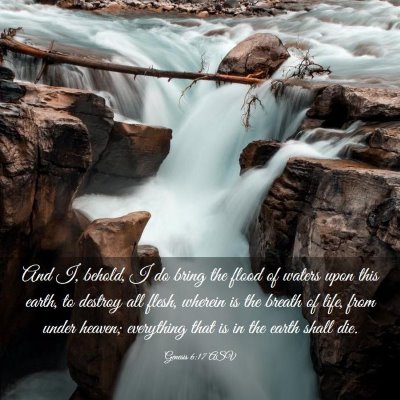 Picture 03 - Genesis 6:17 ASV - And I, behold, I do bring the flood of waters - Bible Verse Picture