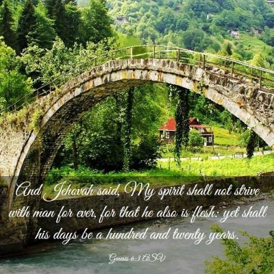 Picture 03 - Genesis 6:3 ASV - And Jehovah said, My spirit shall not strive with - Bible Verse Picture