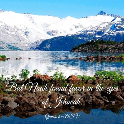 Picture 03 - Genesis 6:8 ASV - But Noah found favor in the eyes of - Bible Verse Picture
