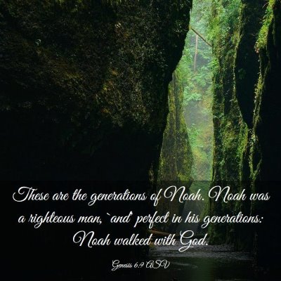 Picture 03 - Genesis 6:9 ASV - These are the generations of Noah. Noah was a - Bible Verse Picture