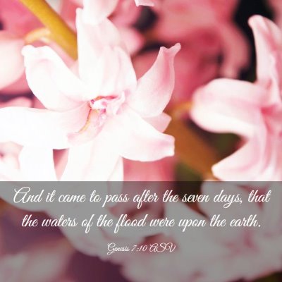 Picture 03 - Genesis 7:10 ASV - And it came to pass after the seven days, that - Bible Verse Picture