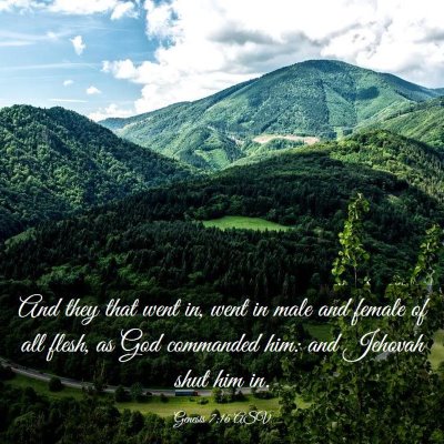 Picture 03 - Genesis 7:16 ASV - And they that went in, went in male and female of - Bible Verse Picture